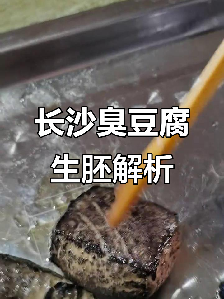长沙臭豆腐专用生胚,石膏网状结构揭秘