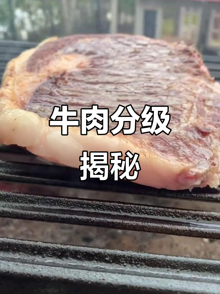 牛肉等级靠脂肪分布,雪花霜降只是美称