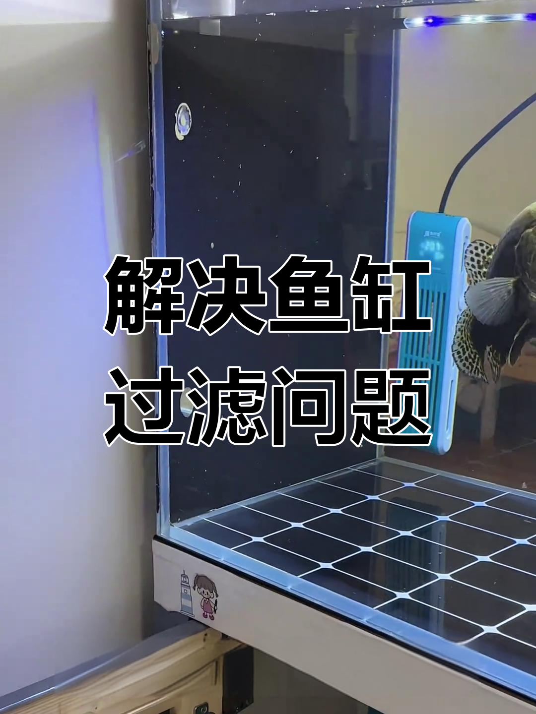 鱼缸过滤系统安装与调试,解决鱼便吸不干净的问题