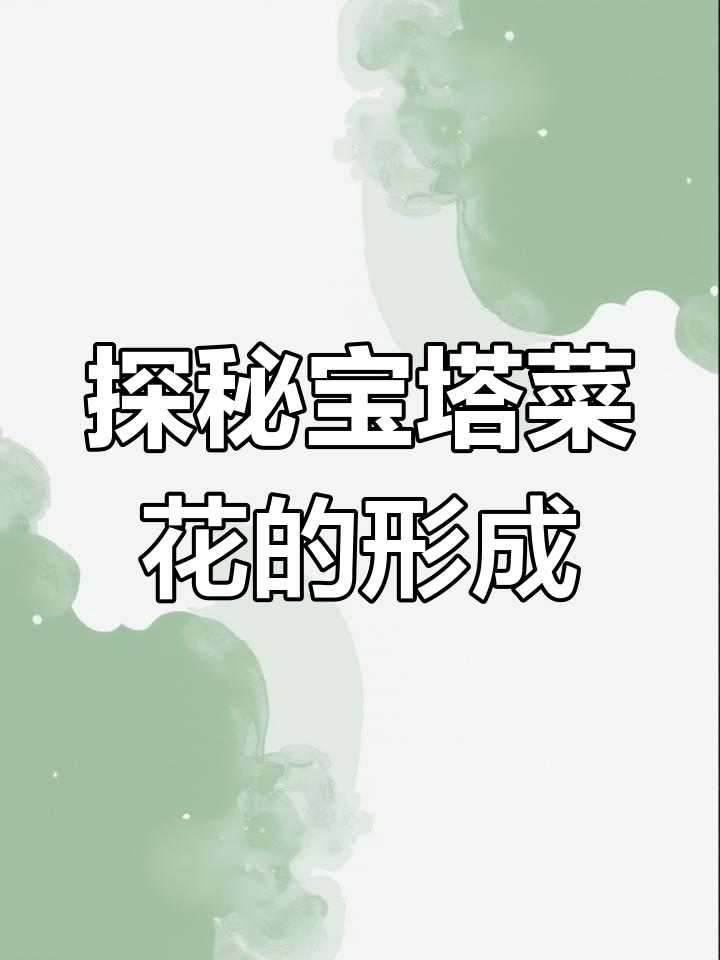 宝塔菜花的美味秘密,竟然是这样长成的!