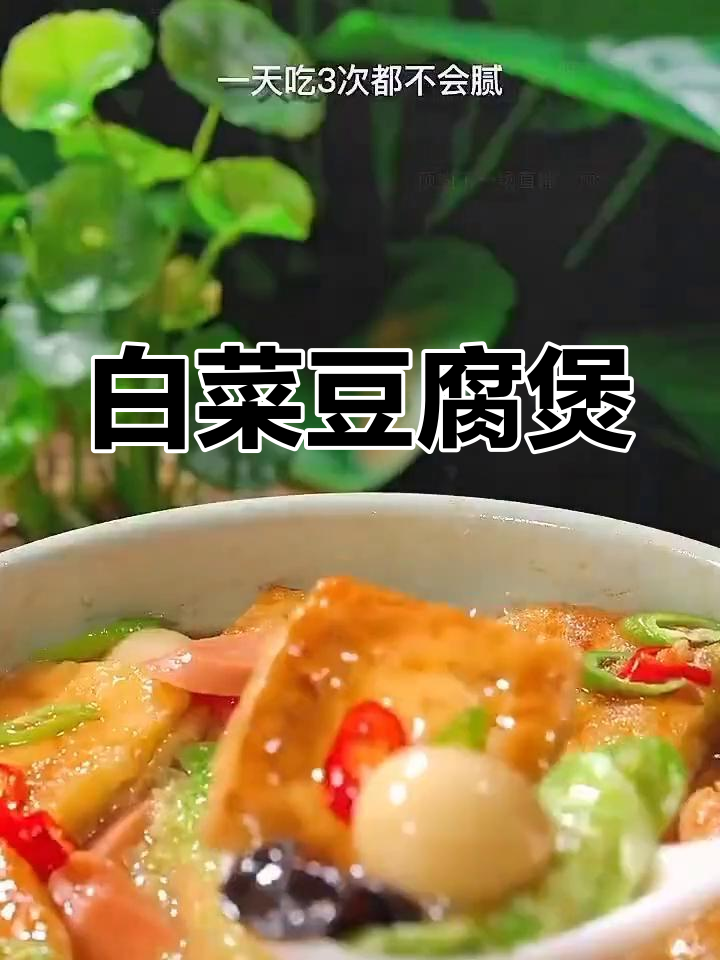 一周三次的白菜豆腐煲,做法简单又美味