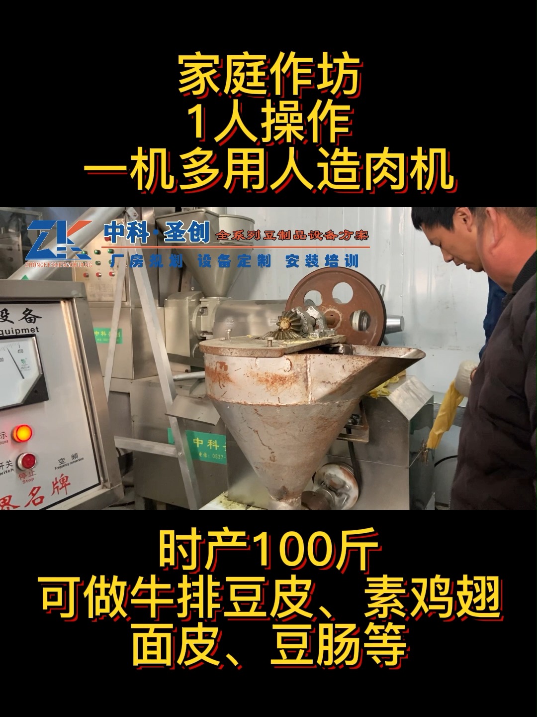 家庭作坊豆制品设备,1人操作多用人造肉机