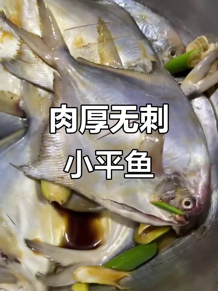 平鱼肉质鲜嫩,刺少高蛋白,红烧清蒸炸着吃都美味