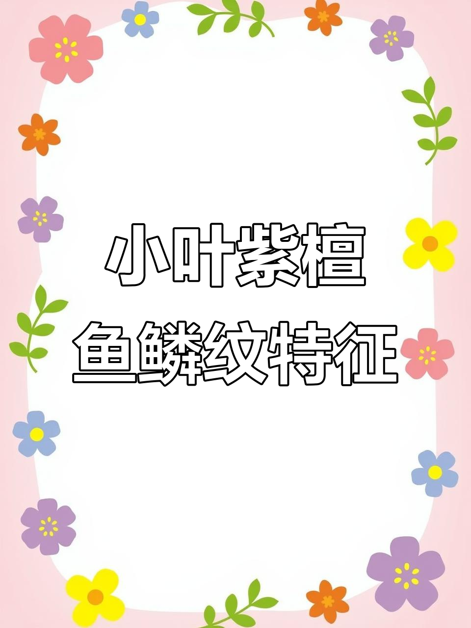 鱼鳞纹紫檀珠子：如何辨别真伪与价值