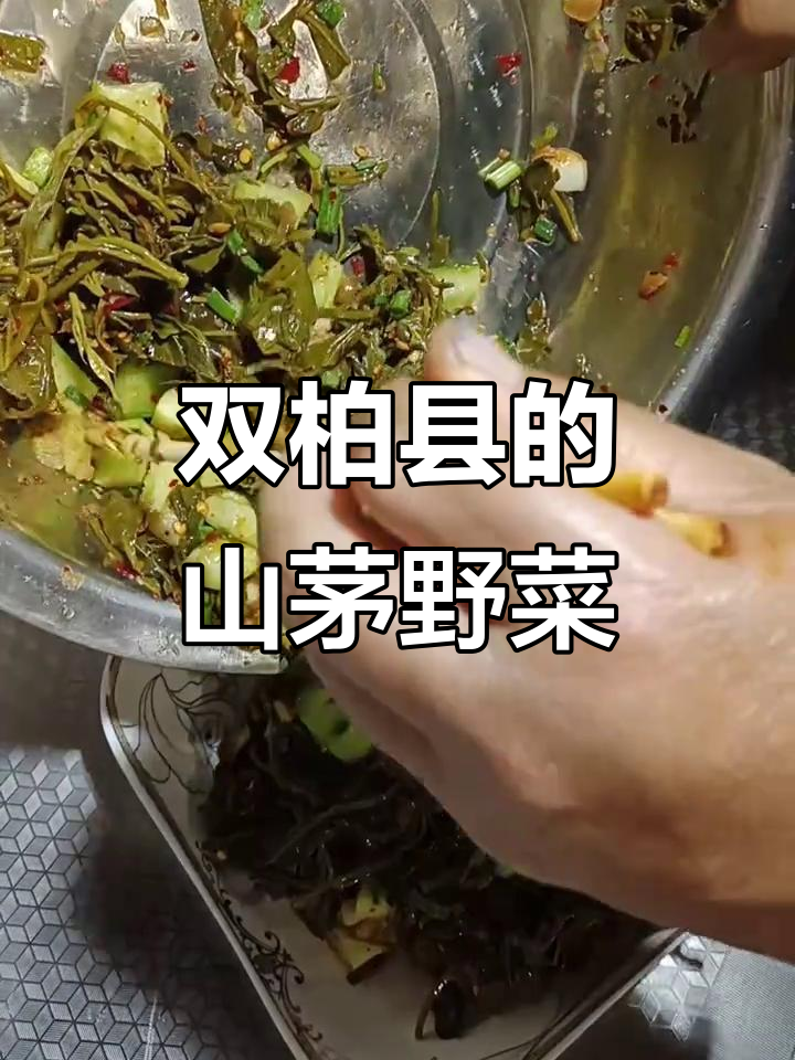 桂林双柏县郭果家庭农场:山茅野菜的美味之旅