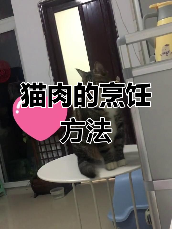 猫肉怎么做才好吃?