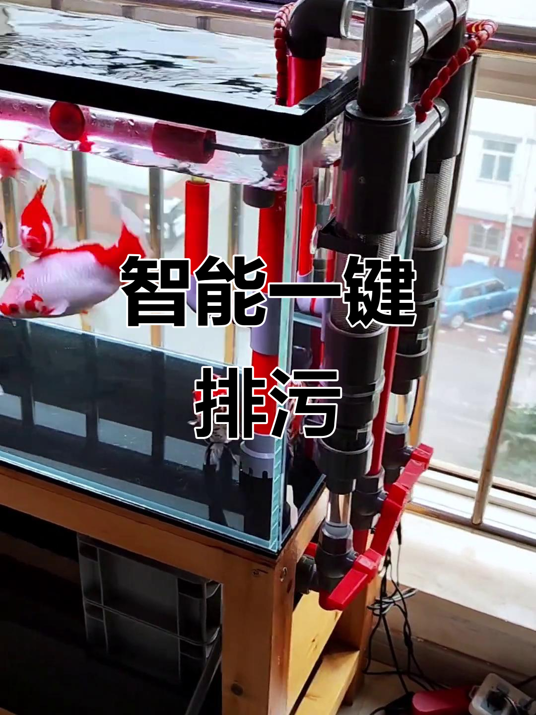 一键排污,鱼缸过滤更轻松