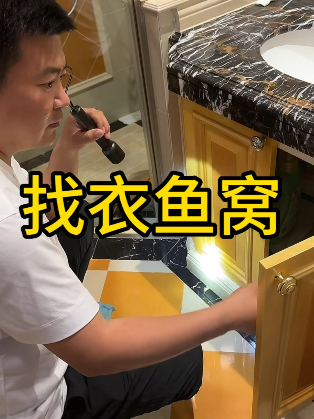 衣鱼虫的窝在哪?现场找