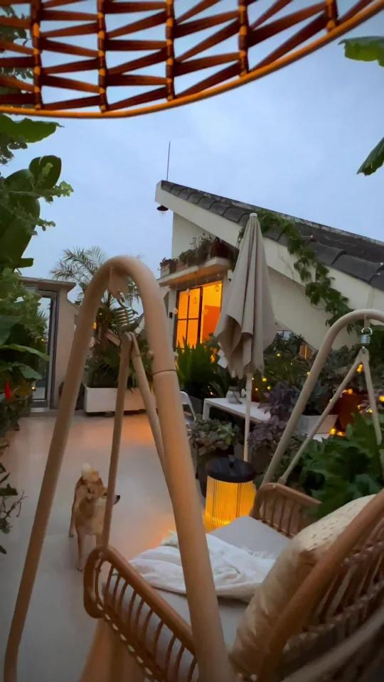 顶楼露台花园|小屋