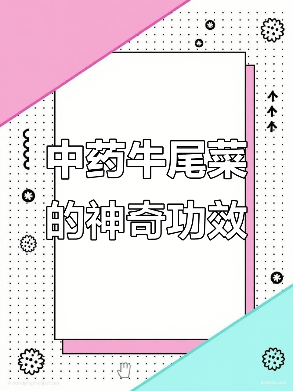 牛尾菜:祛风除湿,治关节炎的中药超能力