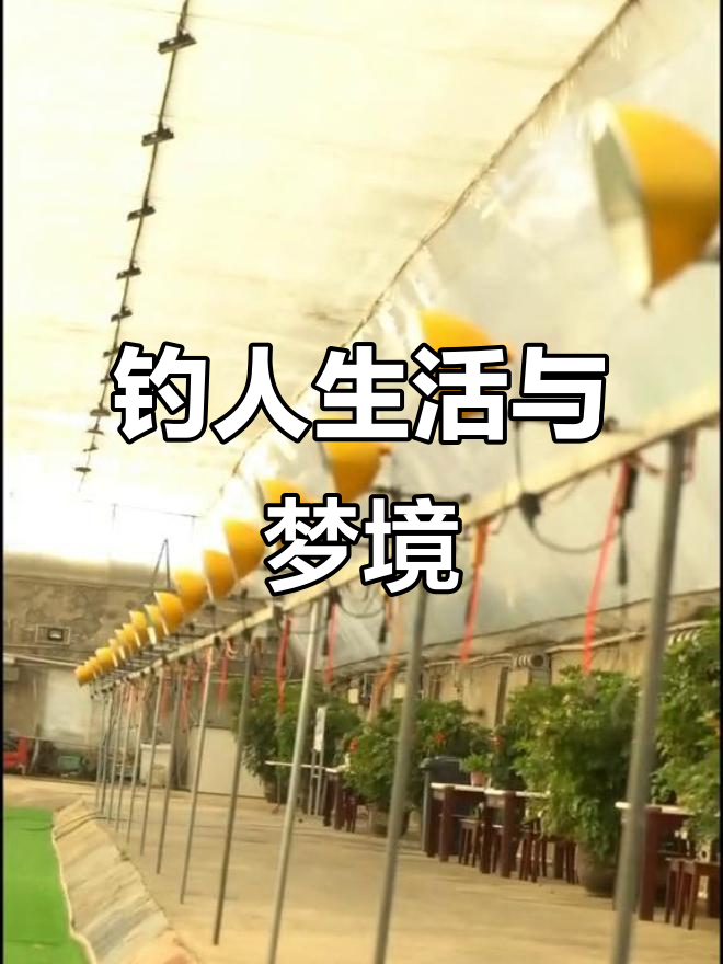 钓鱼人李玲玲的房车生活,摇摇晃摆红尘梦