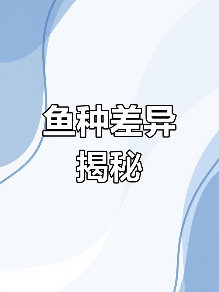 青岛常见鱼类:石九公与赤毛的区别解析