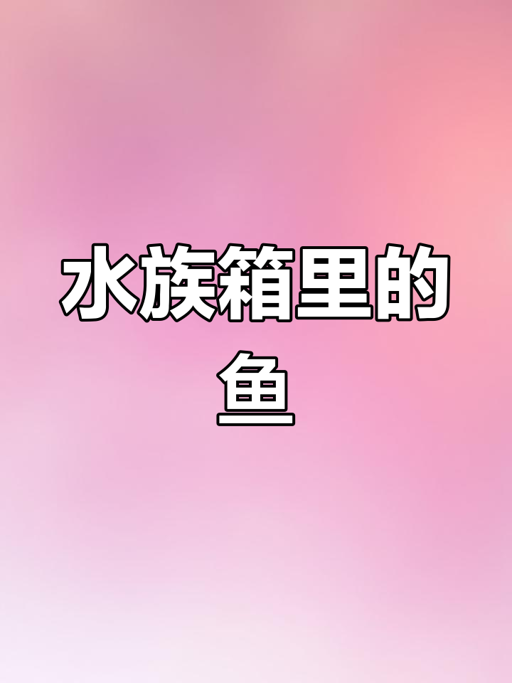 开心水族箱，鱼儿游动