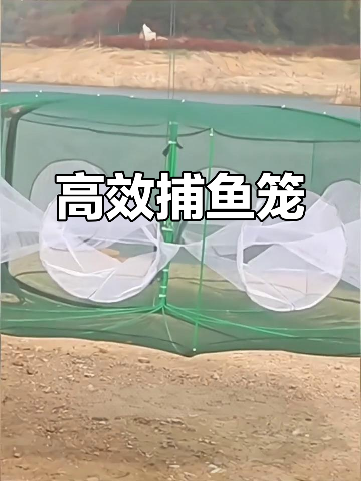 新款捕大鱼神器,黄鳝泥鳅一网打尽