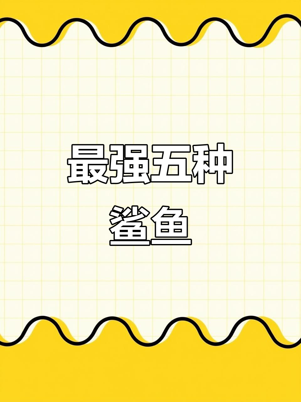 海洋五大最强鲨鱼,大白鲨竟只排第三!