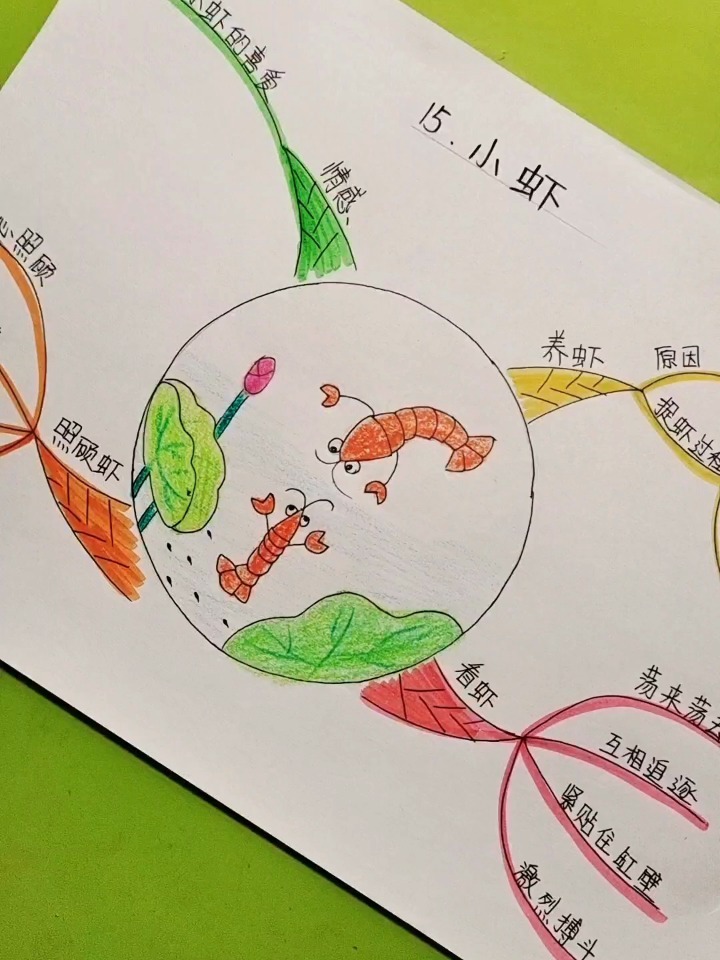 三年级语文思维导图