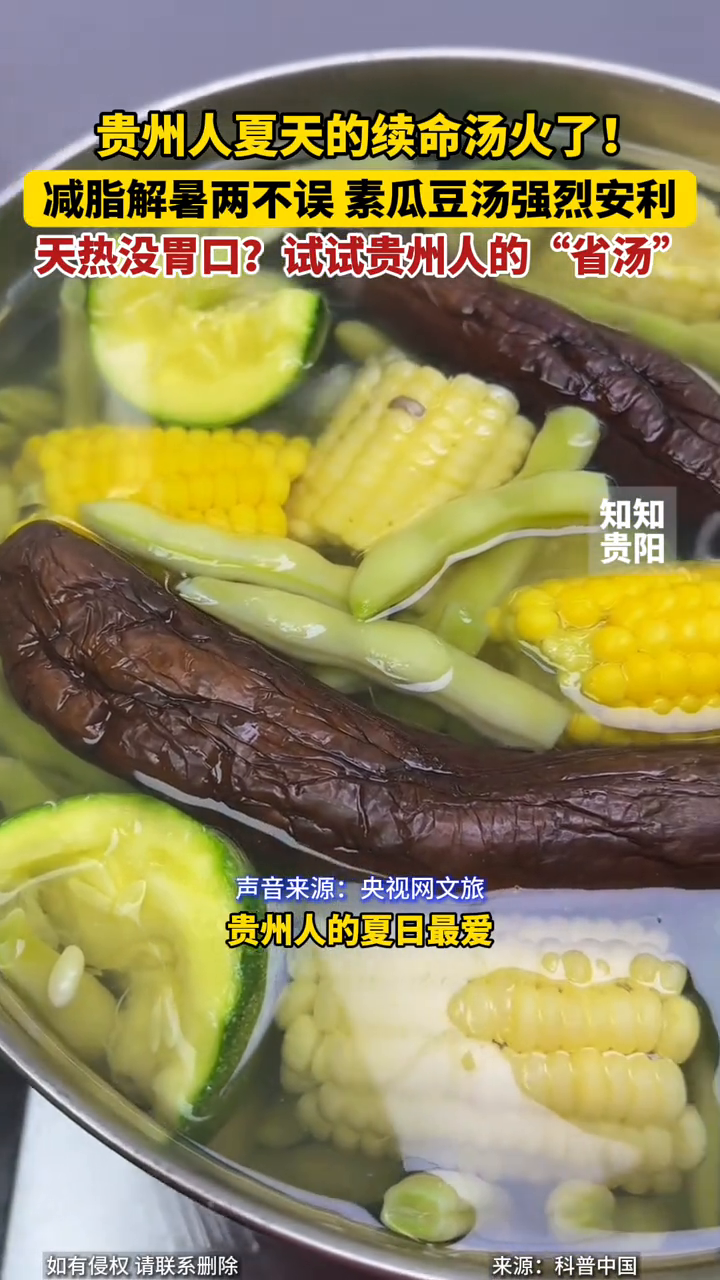 贵州人夏天的续命汤火了！减脂解暑两不误，素瓜豆汤强烈安利！