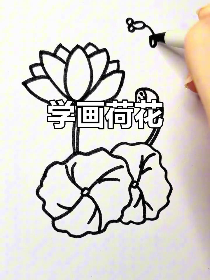 轻松学画荷花,简单步骤教你画出夏日荷塘美景