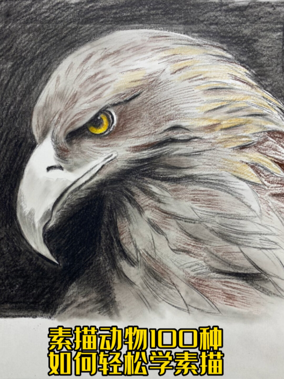 素描动物100种 如何轻松画素描