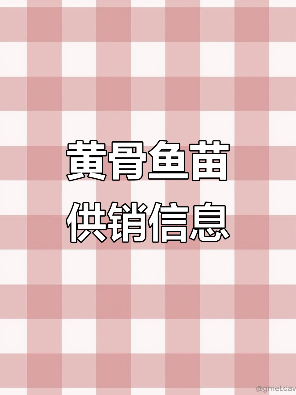 1斤黄骨鱼苗大量供应,富春打工生活大揭秘