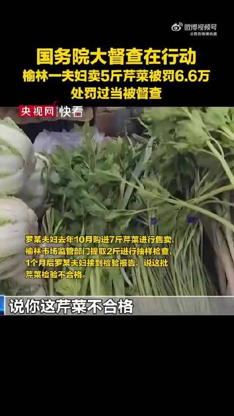 「商贩卖芹菜收入20元被罚6万6 当地被督查」近日,夫妇卖芹菜后遭罚6.6万一事,引起了很