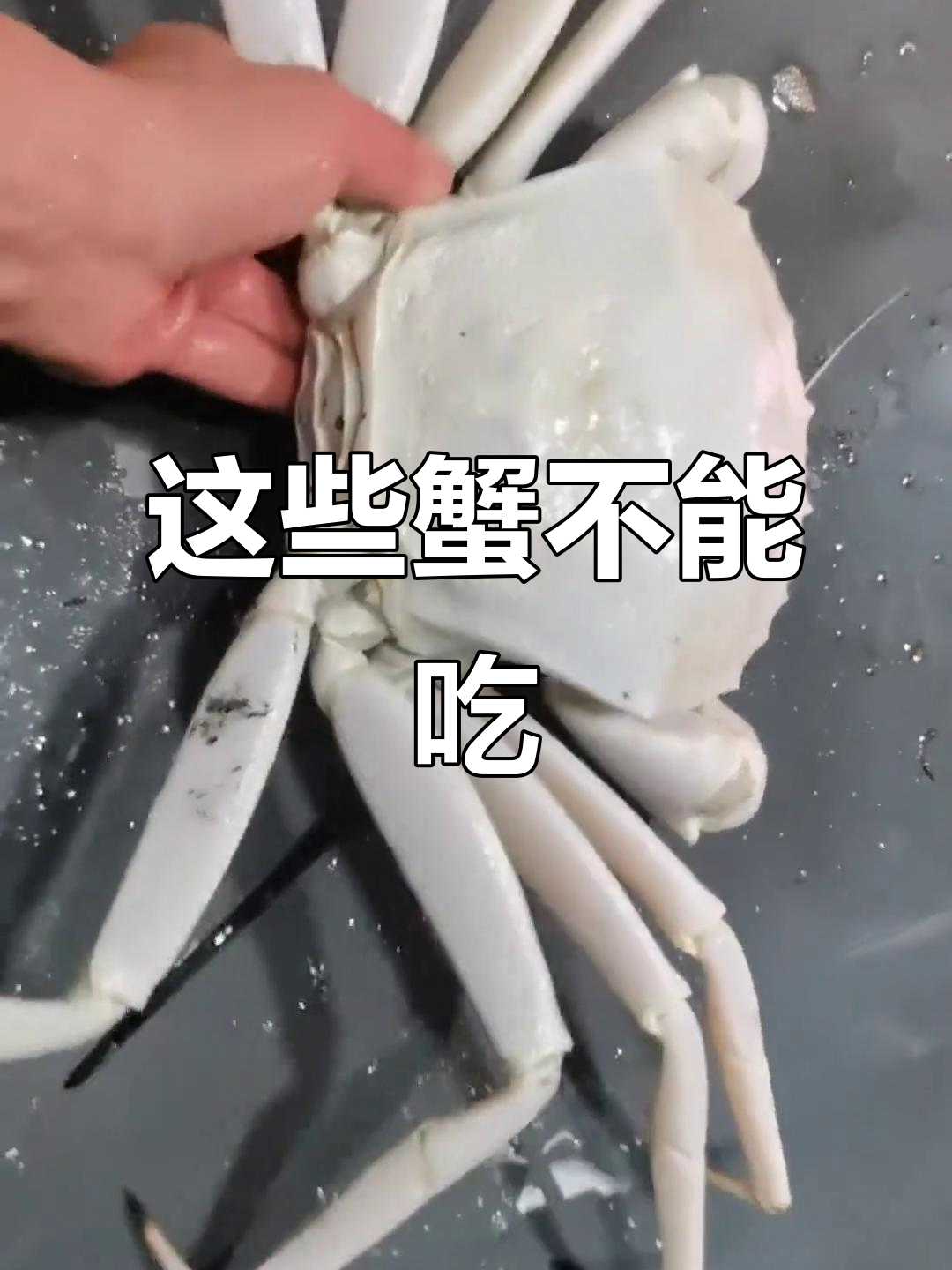34种螃蟹,哪些能吃?哪些有毒不能碰!