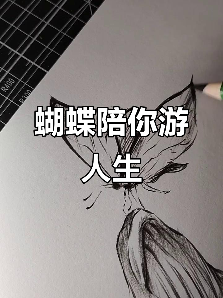 蝴蝶与鲸鱼的约定:我会永远陪着你,直到人生的终点