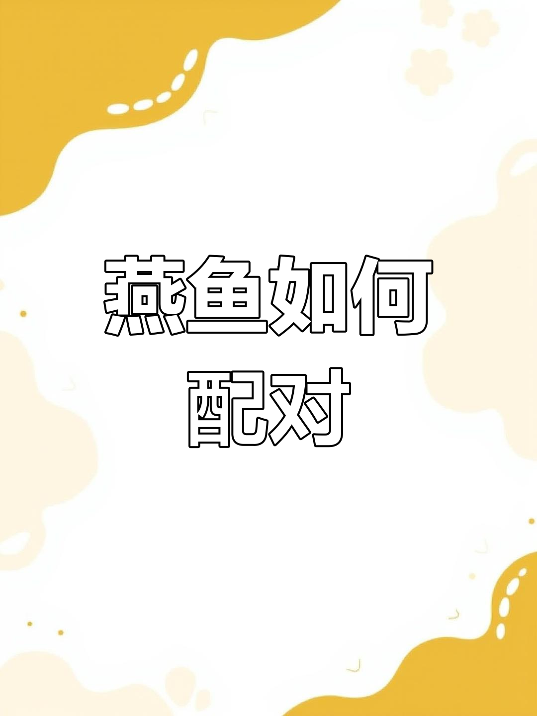 燕鱼配对与公母分辨技巧