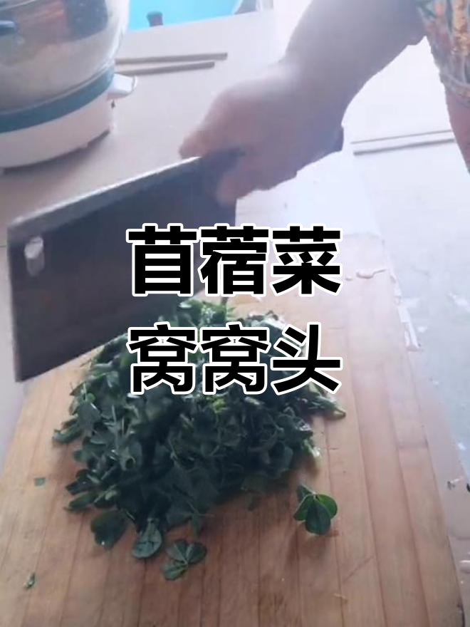 苜蓿菜新做法,玉米面窝窝头超好吃