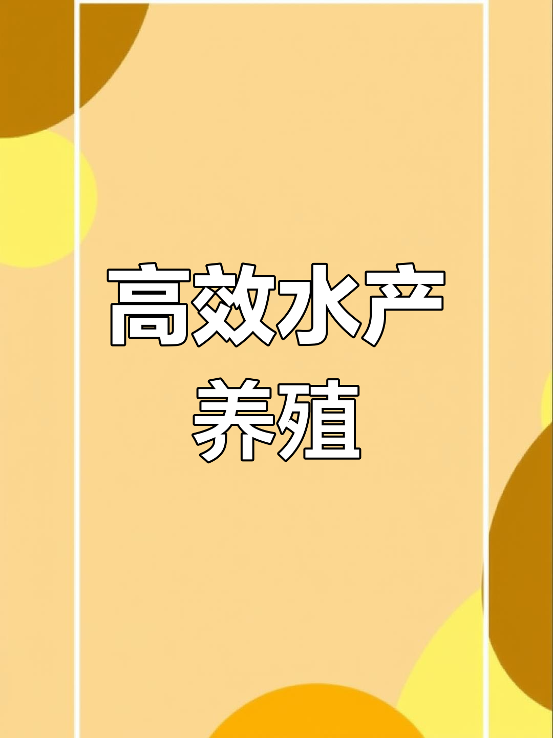 高密度鱼池养殖系统