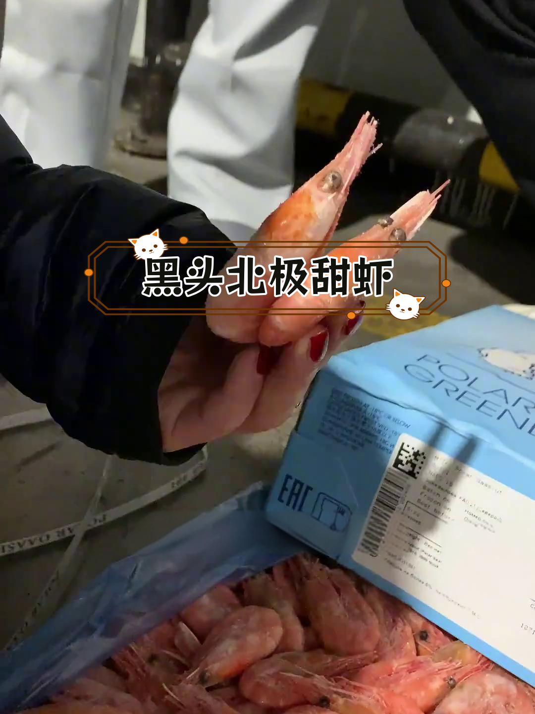 北极虾黑头真相揭秘,蓝蝶品质值得信赖