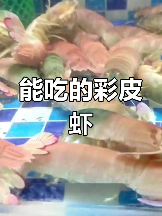 彩色皮皮虾能吃吗?