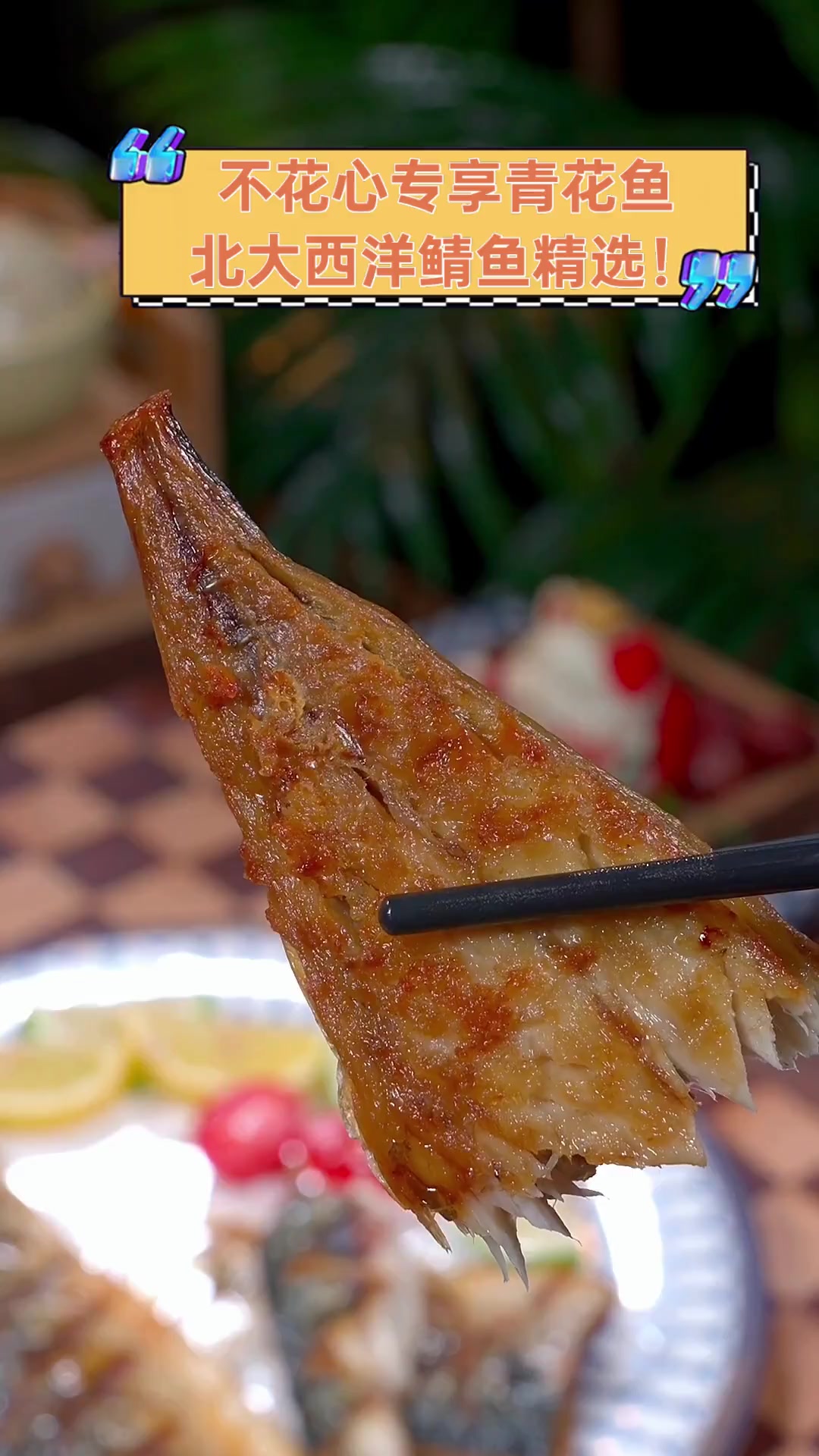 不花心专享青花鱼,北大西洋鲭鱼精选!