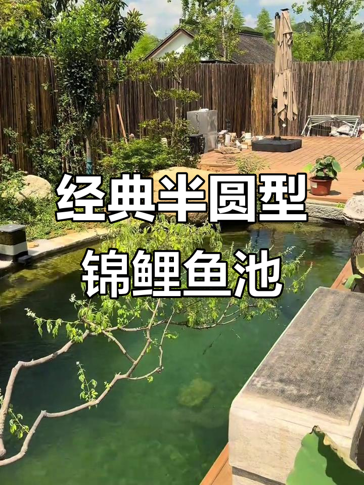 湖州25吨锦鲤鱼池，半圆形自然景观打造完美生态