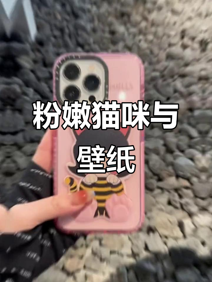 粉色猫咪萌到不行,搭配Molly壁纸超可爱!