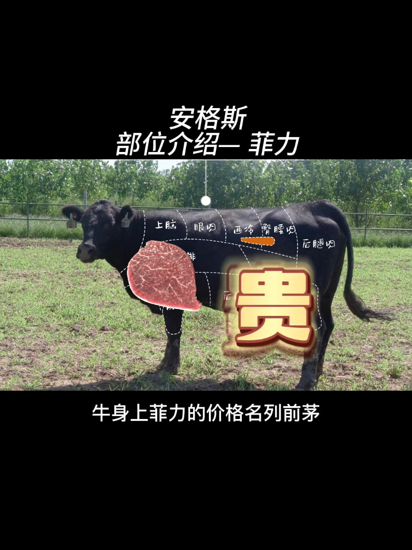 菲力是块肉啊,牛里脊才是部位
