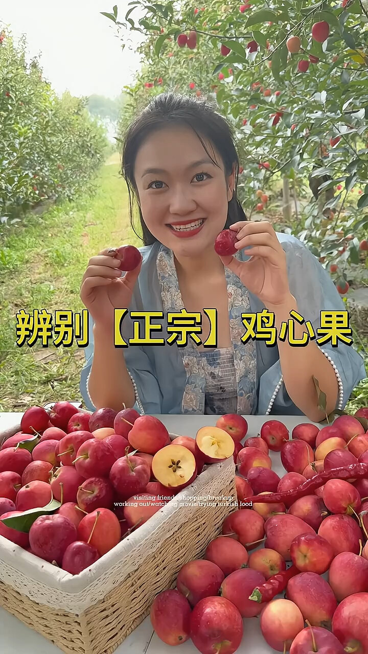 手把手教你辨别真假鸡心果,学会了嘛