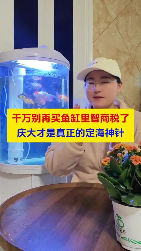 养鱼别再买那些乱七八糟的智商税坑了，庆大才是鱼缸里的定海神针