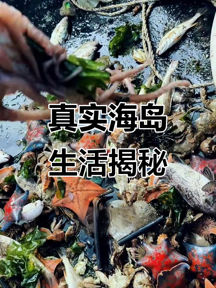 海岛渔民的日常:赶海捕鱼,体验真正的海边生活