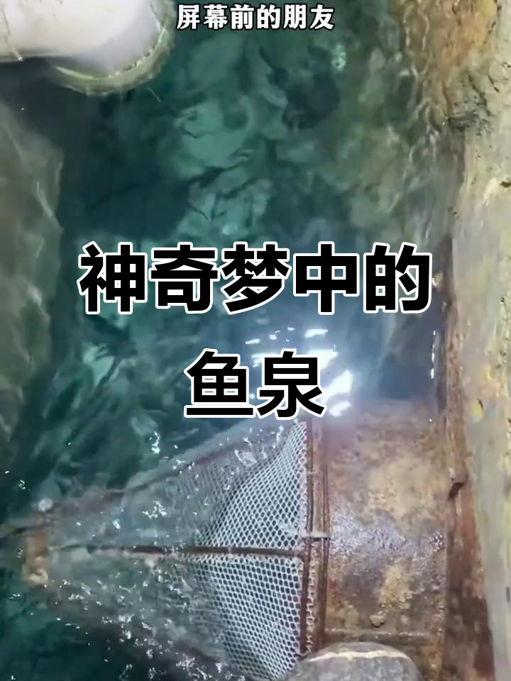 重庆神秘鱼泉,梦中发现地下奇迹