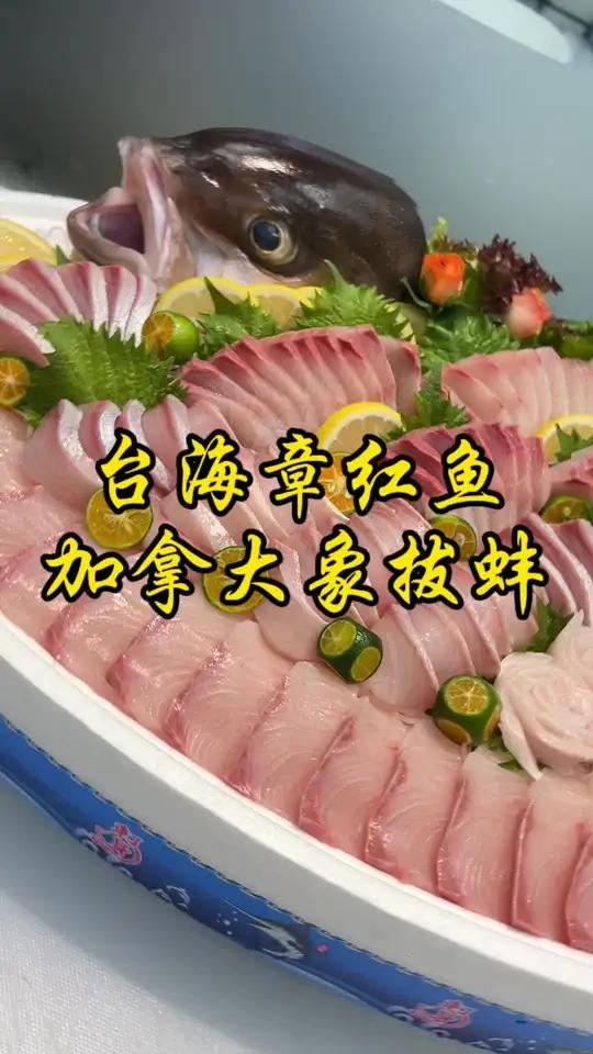 台海章红鱼,加拿大象拔蚌刺身,这一次都是单品盘