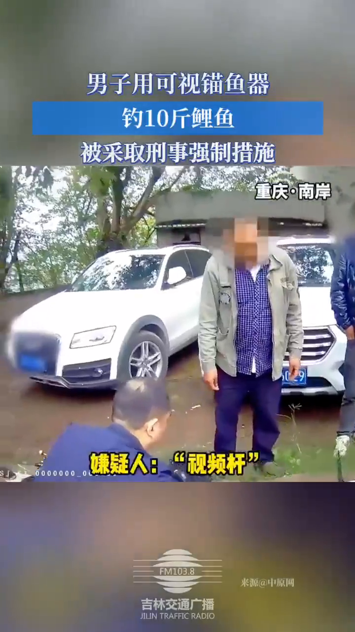 男子用可视锚鱼器钓10斤鲤鱼,被采取刑事强制措施