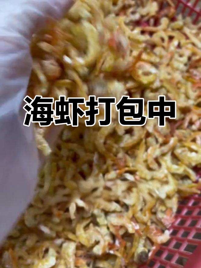 珠海海虾大揭秘,野味十足!