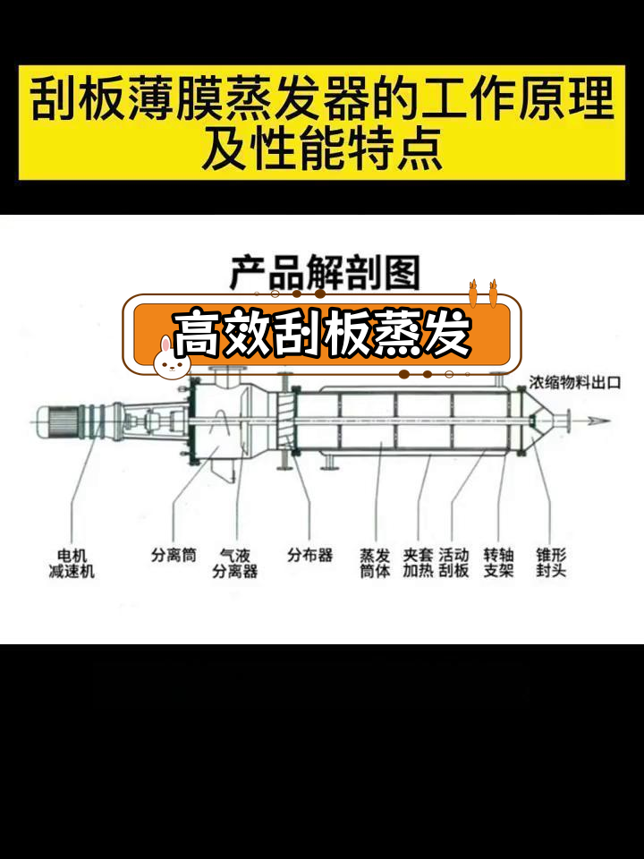 刮板薄膜蒸发器的工作原理与性能特点
