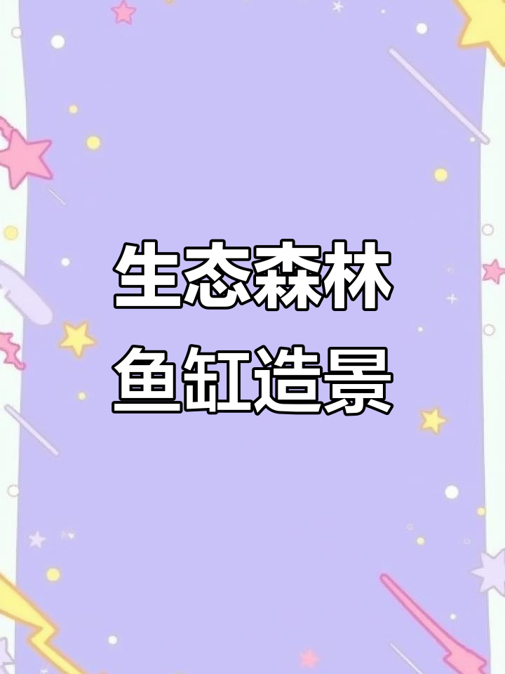 森林景鱼缸，沉木与白沙打造神秘小溪流