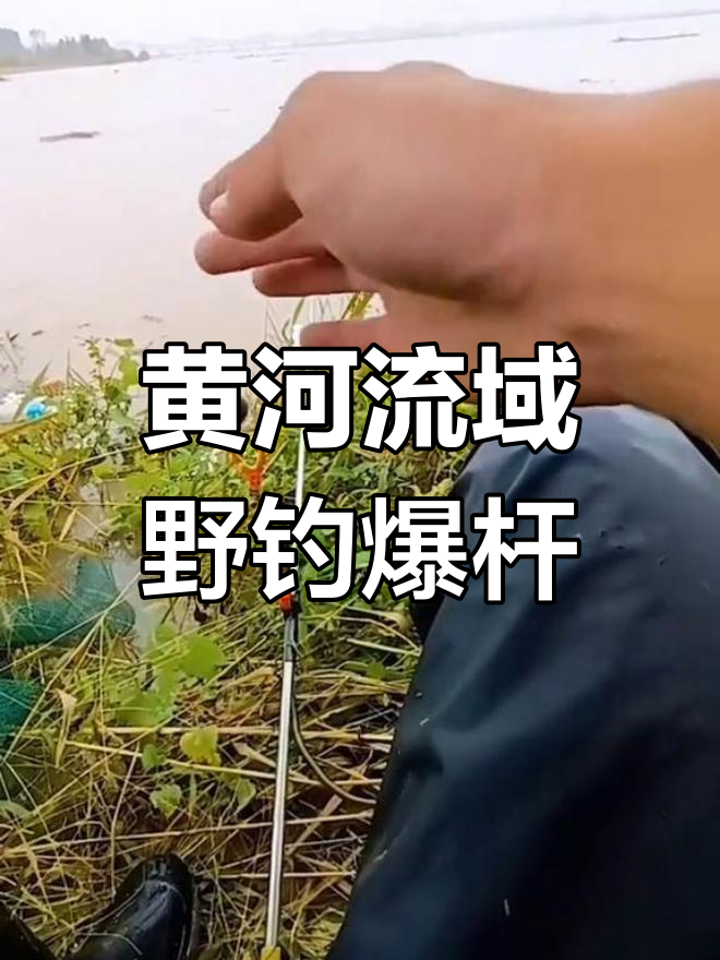 黄河急流钓位选择,00后钓鱼人挑战大鲤鱼