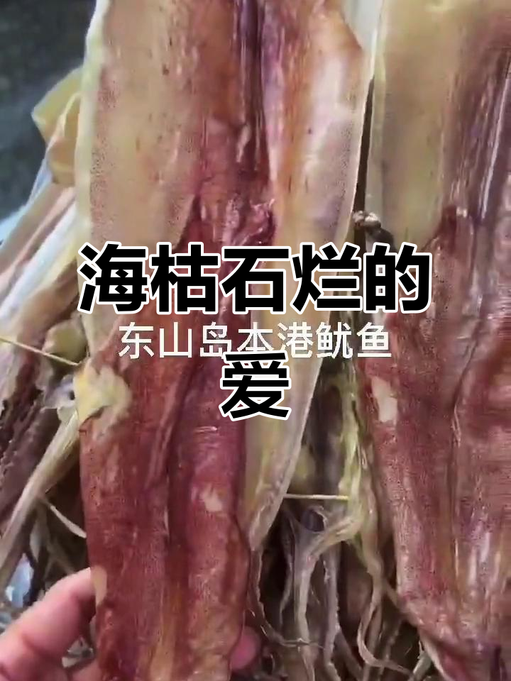 东山岛特大鱿鱼干,爱到海枯石烂的承诺