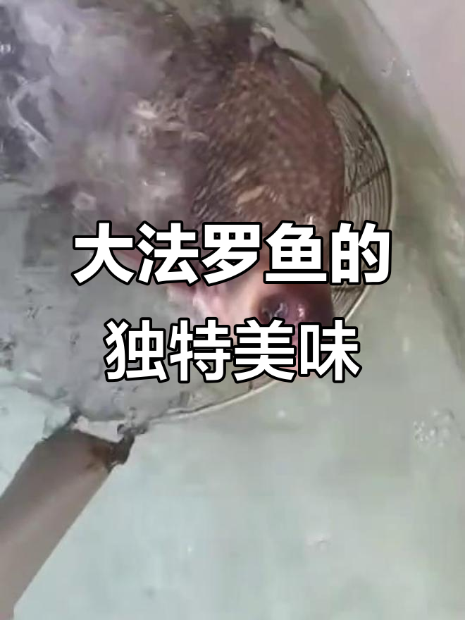 黑龙江野生大法罗鱼,口感鲜美营养丰富