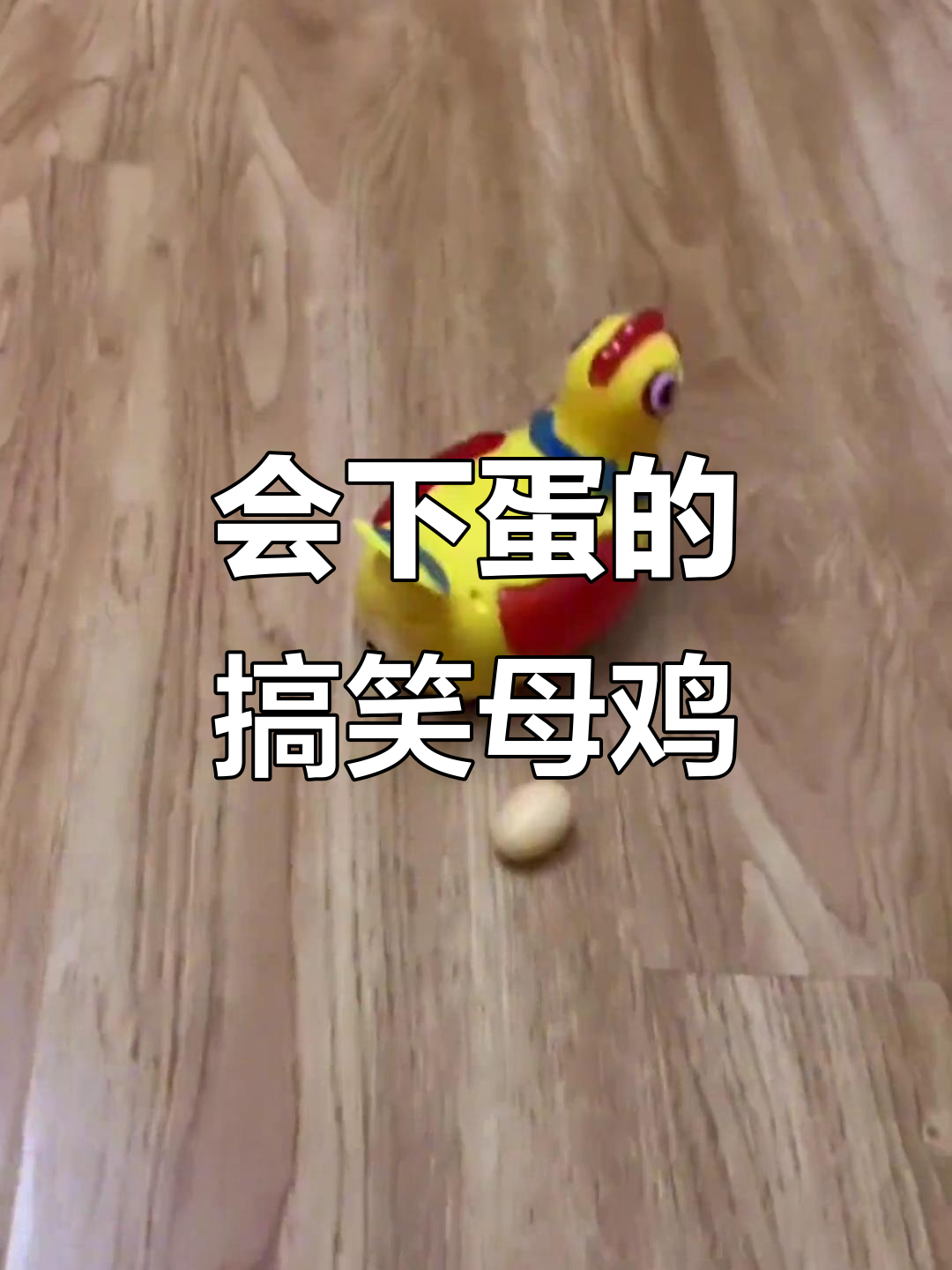 母鸡玩具下蛋，笑到不行！