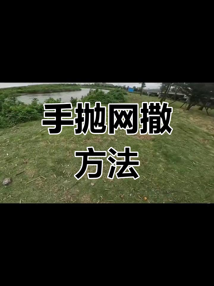 飞盘手抛网撒技巧解析